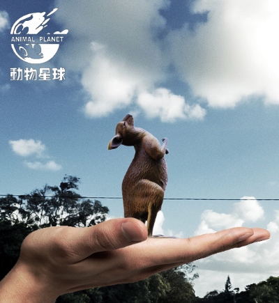 袋鼠摇手