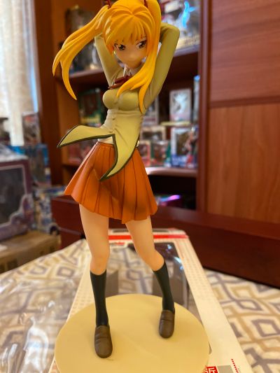 校园迷糊大王 沢近爱理 