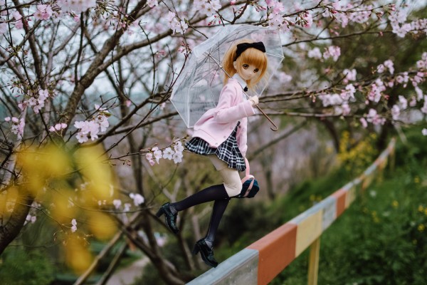 Dollfie Dream Dynamite DDdy 美子