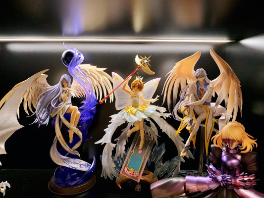 期待已久的大翅膀