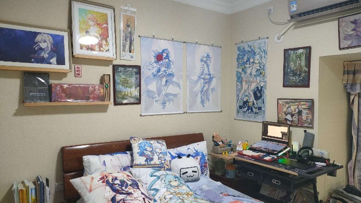 一个高三毕业的老宅男玩家房间