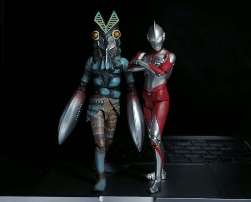 S.H.Figuarts   达达