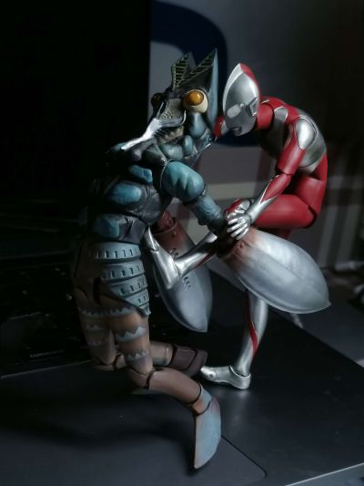 S.H.Figuarts   达达