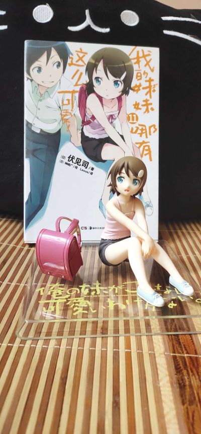 Dream Tech 我的妹妹不可能那么可爱 高坂桐乃 小学生