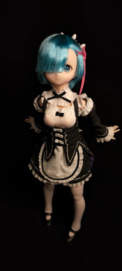 PureNeemo角色系列 No.128 Re：从零开始的异世界生活 雷姆