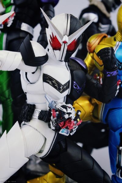 S.H.Figuarts(真骨雕制法)   假面骑士警骑