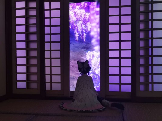 GEM系列 鬼灭之刃 掌中蝴蝶忍