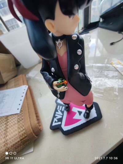 宝可梦 剑/盾 玛俐 与 莫鲁贝可