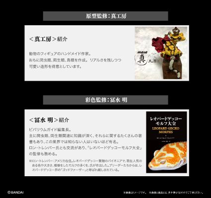 进化生物大图鉴 斑纹 与 蜥蜴 3种套装