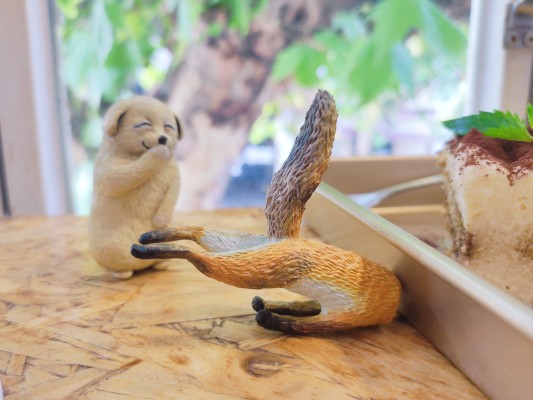 沙雕系列 偷笑狗