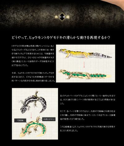 进化生物大图鉴 斑纹 与 蜥蜴 3种套装