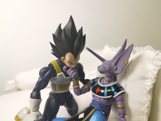 S.H.Figuarts    比鲁斯