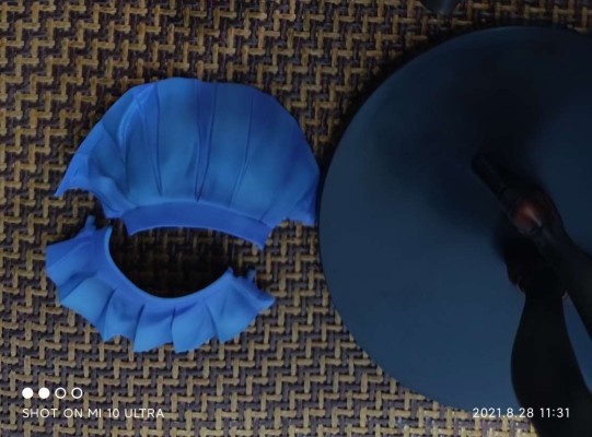 痴汉扑灭运动 索菲亚