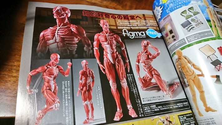 figma#SP-142 桌上美术馆 人体模型