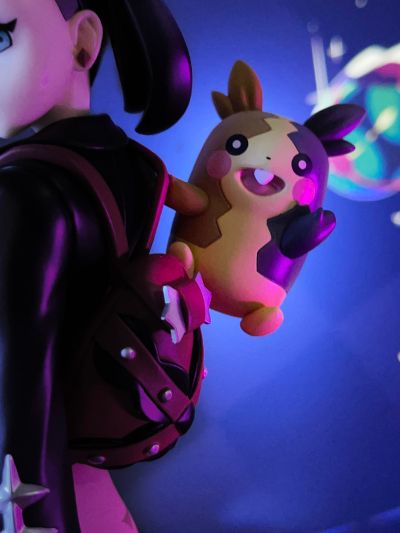 宝可梦 剑/盾 玛俐 与 莫鲁贝可