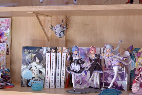 粘土人#1559 转生成蜘蛛又怎样 蜘蛛子