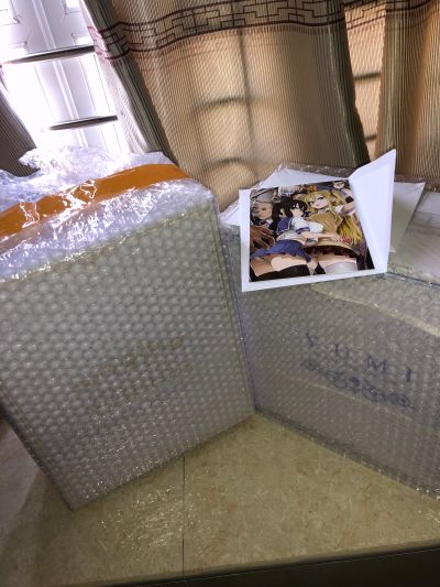 痴汉扑灭运动 游美