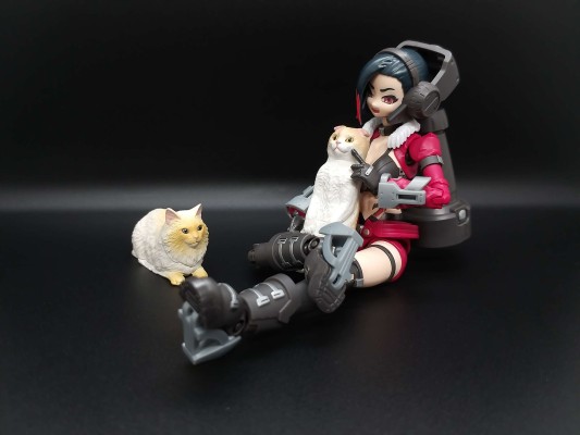 Girl Gun Lady Lady指挥官 黛茜