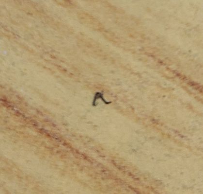 ARTFX J 炎炎消防队 亚瑟·波义耳