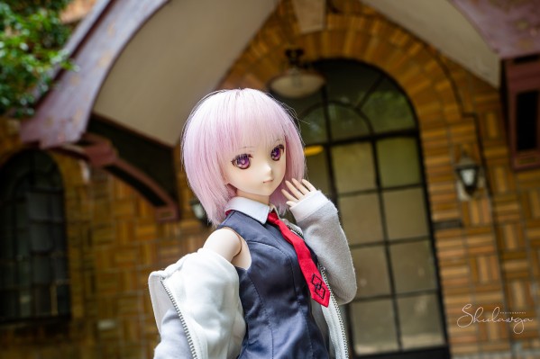 Dollfie Dream DD 命运-冠位指定 盾兵-玛修・基列莱特