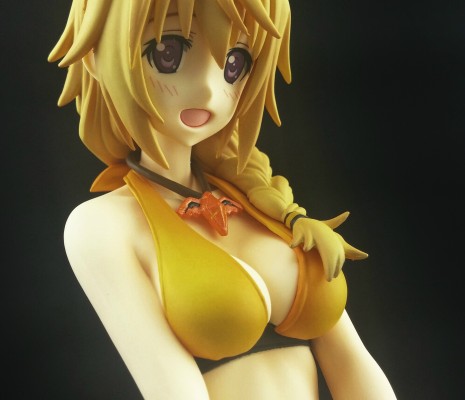 IS〈无限斯特托拉斯〉 夏洛特・迪诺亚 泳装