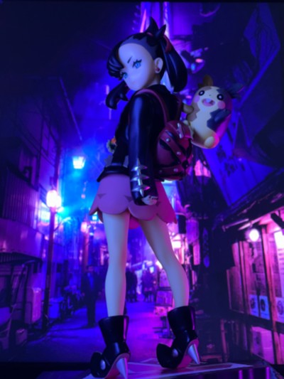 宝可梦 剑/盾 玛俐 与 莫鲁贝可