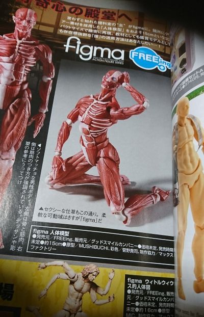 figma#SP-142 桌上美术馆 人体模型