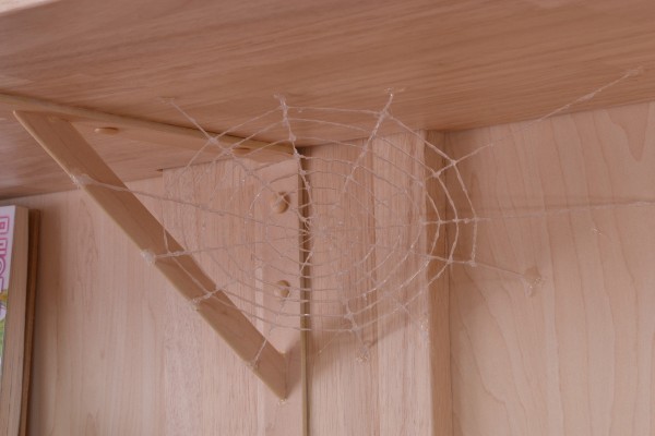 粘土人#1559 转生成蜘蛛又怎样 蜘蛛子