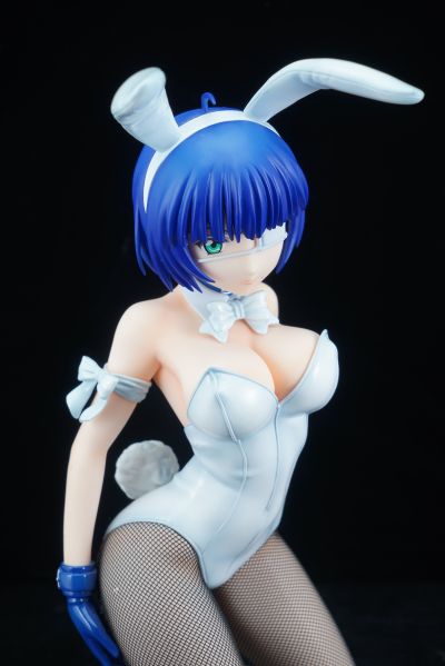 一骑当千 集鍔闘士血風録 吕蒙子明 兔女郎Ver.