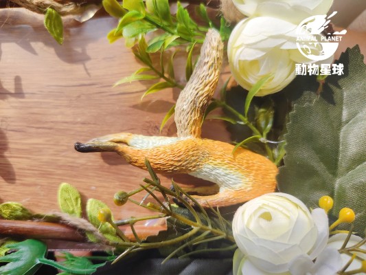 钻地狐狸