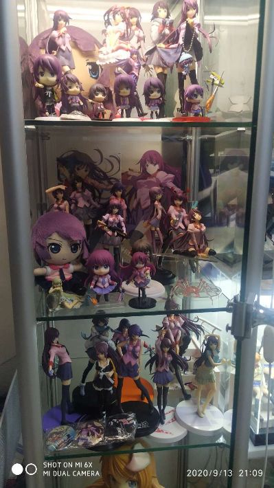 化物語 战场原黑仪 ウエダハジメVer.