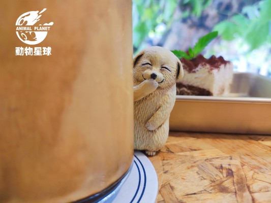 沙雕系列 偷笑狗