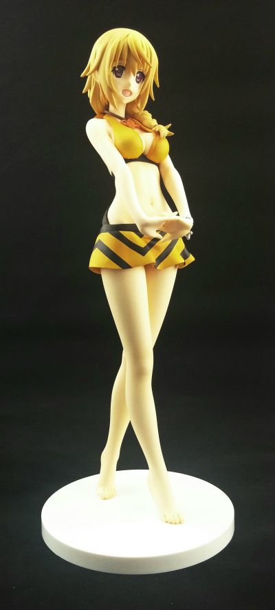 IS〈无限斯特托拉斯〉 夏洛特・迪诺亚 泳装