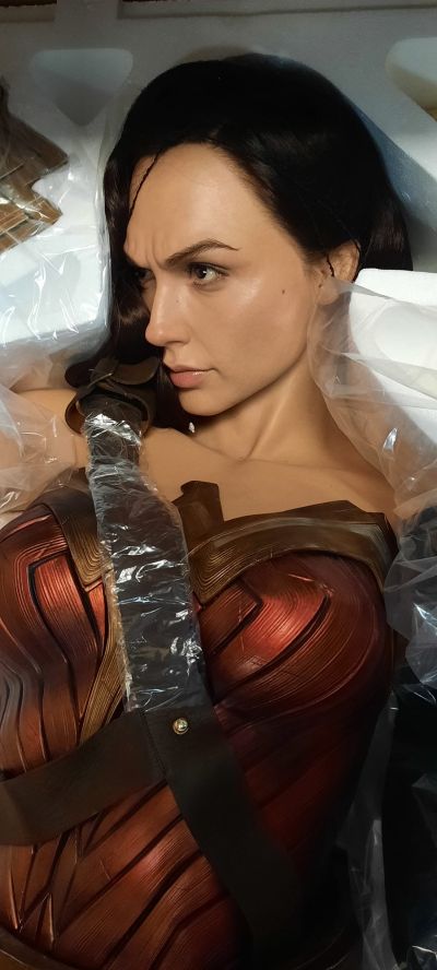 正义联盟 神奇女侠半身像