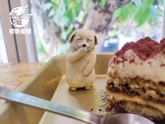 沙雕系列 偷笑狗