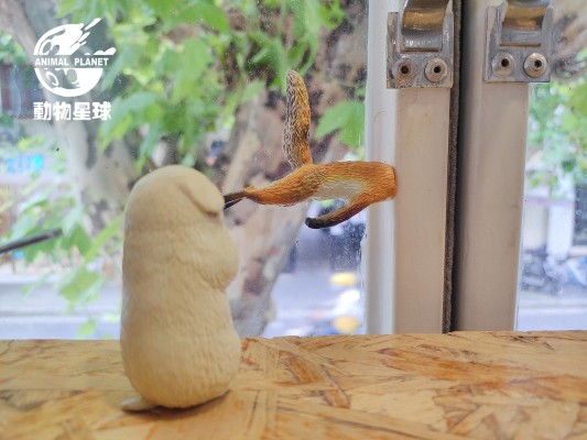 沙雕系列 偷笑狗