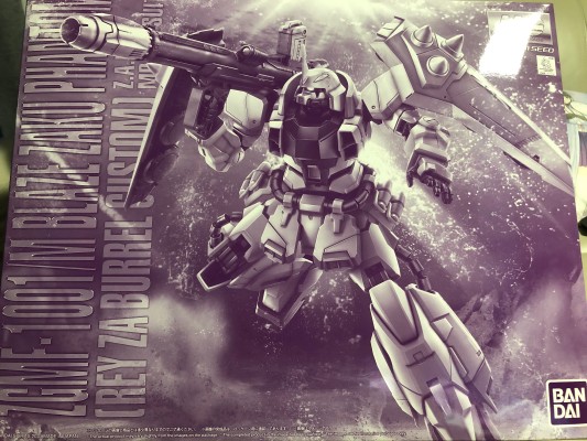 MG 1/100  机动战士高达SEED DESTINY ZGMF-1001/M 幻影型扎古·焰 (雷・札・巴雷尔专用机)