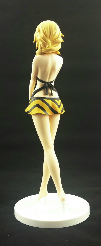 IS〈无限斯特托拉斯〉 夏洛特・迪诺亚 泳装