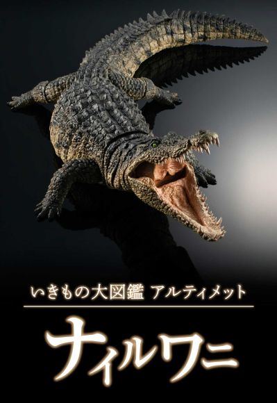 终极生物大图鉴系列 尼罗鳄