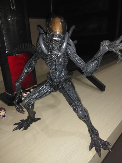 Super Special 系列 Alien: Resurrection Alien Warrior