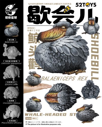 《歇会儿》系列第一弹—鲸头鹳