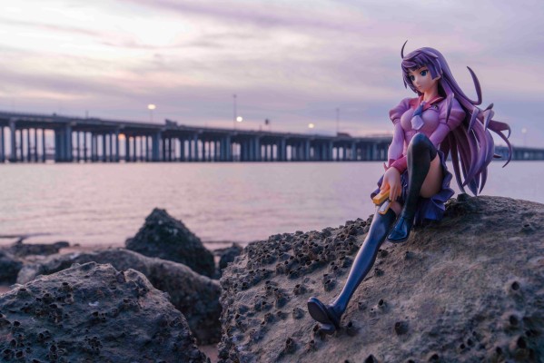 化物語 战场原黑仪