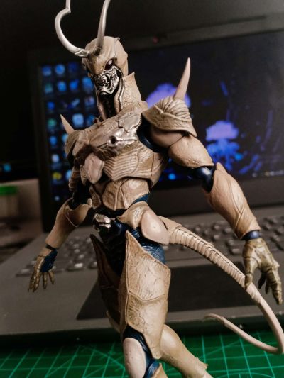 S.H.Figuarts  假面骑士泽零