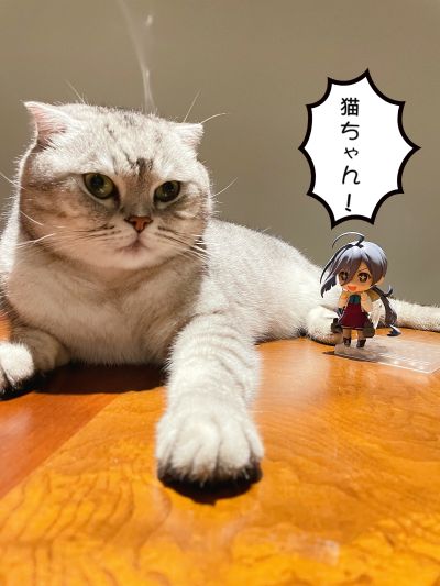 粘土人#795 舰队Collection -舰娘- 清霜