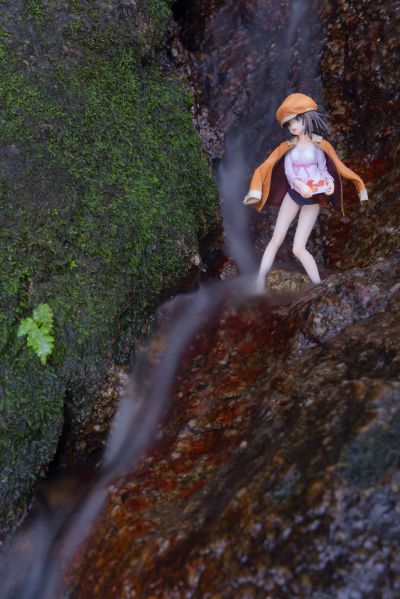 化物语 千石抚子