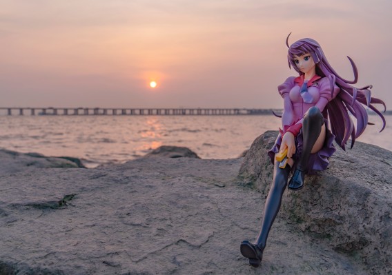 化物語 战场原黑仪