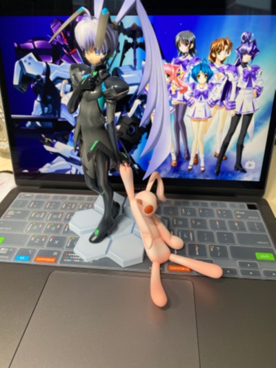 MUV-LUV Muv-luv 社霞 