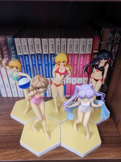 BEACH QUEENS Fate/hollow ataraxia 阿尔托莉雅 Alter