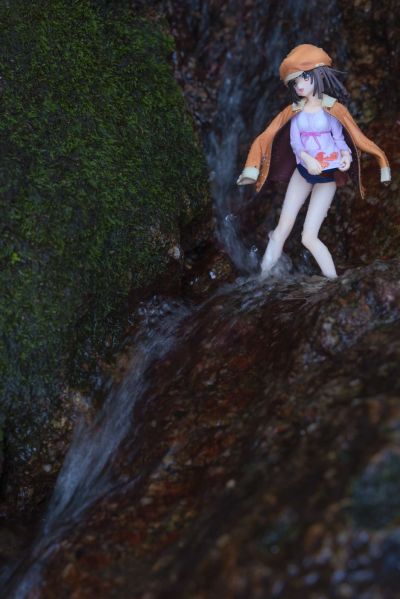 化物语 千石抚子