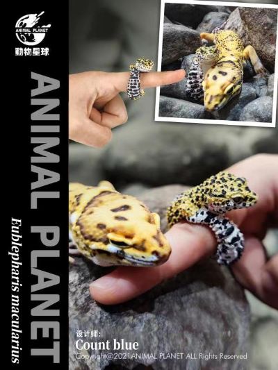 动物戒指 豹纹守宫